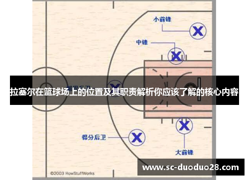 拉塞尔在篮球场上的位置及其职责解析你应该了解的核心内容