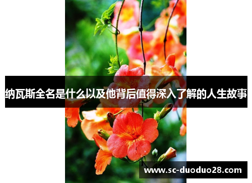 纳瓦斯全名是什么以及他背后值得深入了解的人生故事