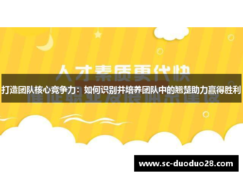 打造团队核心竞争力：如何识别并培养团队中的翘楚助力赢得胜利