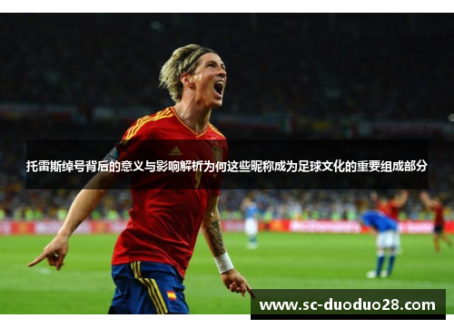 托雷斯绰号背后的意义与影响解析为何这些昵称成为足球文化的重要组成部分