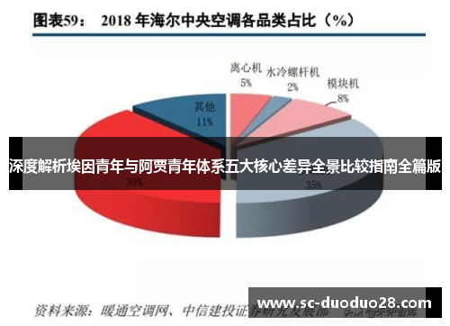 深度解析埃因青年与阿贾青年体系五大核心差异全景比较指南全篇版