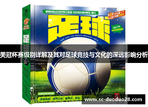 美冠杯赛级别详解及其对足球竞技与文化的深远影响分析