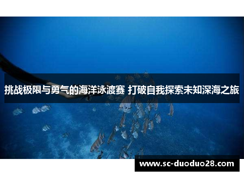 挑战极限与勇气的海洋泳渡赛 打破自我探索未知深海之旅