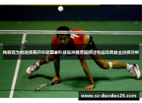 陶菲克为何选择离开印尼国家队背后深层原因探讨与运动员自主抉择分析