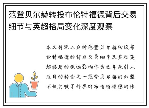 范登贝尔赫转投布伦特福德背后交易细节与英超格局变化深度观察